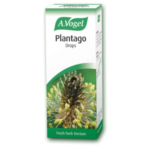 A. Vogel Plantago Lanceolata Lance Leaf Plantin 50ml - O'Sullivans Pharmacy - Vitamins - 7610313303403