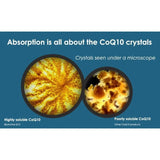 BioActive Q10 100mg Capsules 60 Pack - O'Sullivans Pharmacy