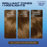 Clairol Nice n Easy 6G Light Golden Brown Permanent Hair Dye - O'Sullivans Pharmacy