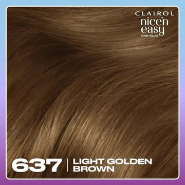 Clairol Nice n Easy Tone + Gloss Light Golden Brown 637/76 Hair Dye - O'Sullivans Pharmacy