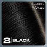 Clairol Root Touch Up Black 2 - O'Sullivans Pharmacy