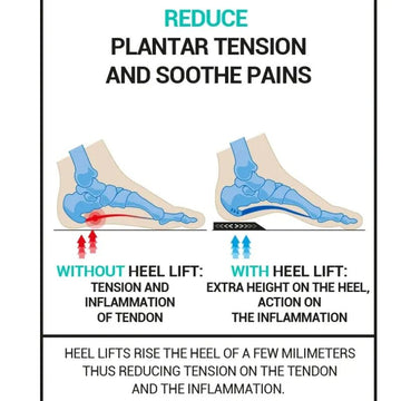 Epitact Heel Lifts Plantar Fasciitis Heel Spur Large - O'Sullivans Pharmacy