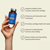 Fabu Joint Bone Muscle 60 Capsules - O'Sullivans Pharmacy