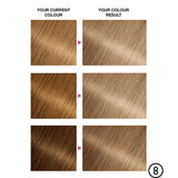 Garnier Nutrisse Creme Permanent Hair Colour Blonde 8 - O'Sullivans Pharmacy