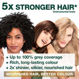 Garnier Nutrisse Creme Permanent Hair Colour Brown 5 - O'Sullivans Pharmacy
