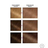 Garnier Nutrisse Creme Permanent Hair Colour Dark Blonde 7 - O'Sullivans Pharmacy