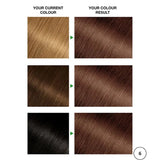 Garnier Nutrisse Creme Permanent Hair Colour Light Brown 6 - O'Sullivans Pharmacy