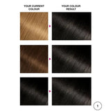 Garnier Olia 1.0 Deep Black Permanent Hair Colour - O'Sullivans Pharmacy