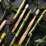 Humble Toothbrush Kids - O'Sullivans Pharmacy