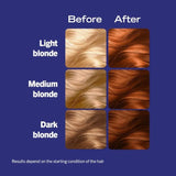 Live Intense Colour Caramel Copper 077 Hair Colour - O'Sullivans Pharmacy