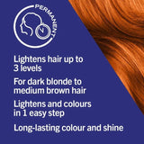 Live Intense Colour Mango Twist 30 Hair Colour - O'Sullivans Pharmacy