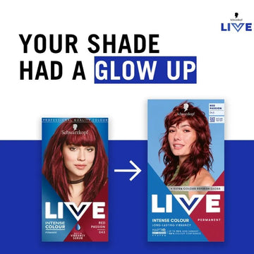 Live Intense Colour Red Passion 43 Hair Colour - O'Sullivans Pharmacy