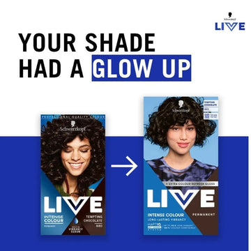 Live Intense Colour Tempting Chocolate 880 Hair Colour - O'Sullivans Pharmacy