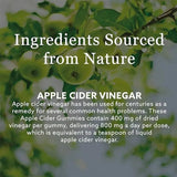 New Nordic Apple Cider 60 Gummies - O'Sullivans Pharmacy