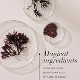 New Nordic Irish Sea Moss 30 Tablets - O'Sullivans Pharmacy