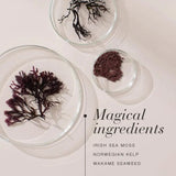 New Nordic Irish Sea Moss 30 Tablets - O'Sullivans Pharmacy