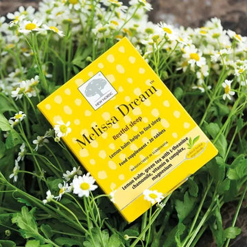 New Nordic Melissa Dream Tablets 20 Pack - O'Sullivans Pharmacy