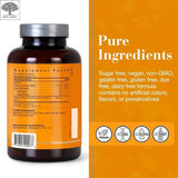 New Nordic Turmeric Gummies 60 Vegan Gummies - O'Sullivans Pharmacy