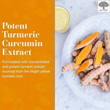 New Nordic Turmeric Gummies 60 Vegan Gummies - O'Sullivans Pharmacy