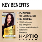 Oleo Intense Rich Plum 3 - 33 Hair Colour - O'Sullivans Pharmacy