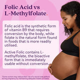 Active Iron Folic Acid Tablets 60 Pack